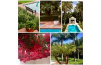 Visol Garden (Sotogrande) logo